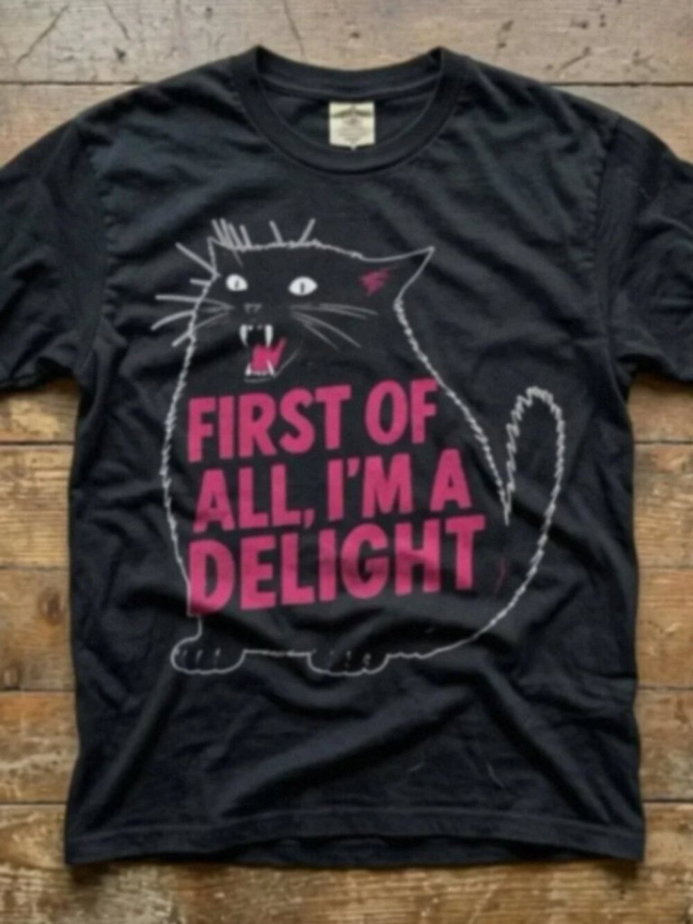 Funny Black Cat Graphic Tee First Of All Im A Delight Vintage Humor Shirt